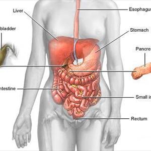 Nervous Stomach Disease Brain - Best Tips To Help IBS With Constipation