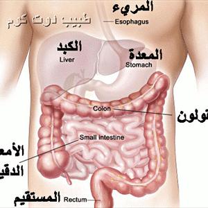 Alcohol And Irritable Bowel Syndrome - The Grumbling Gut
